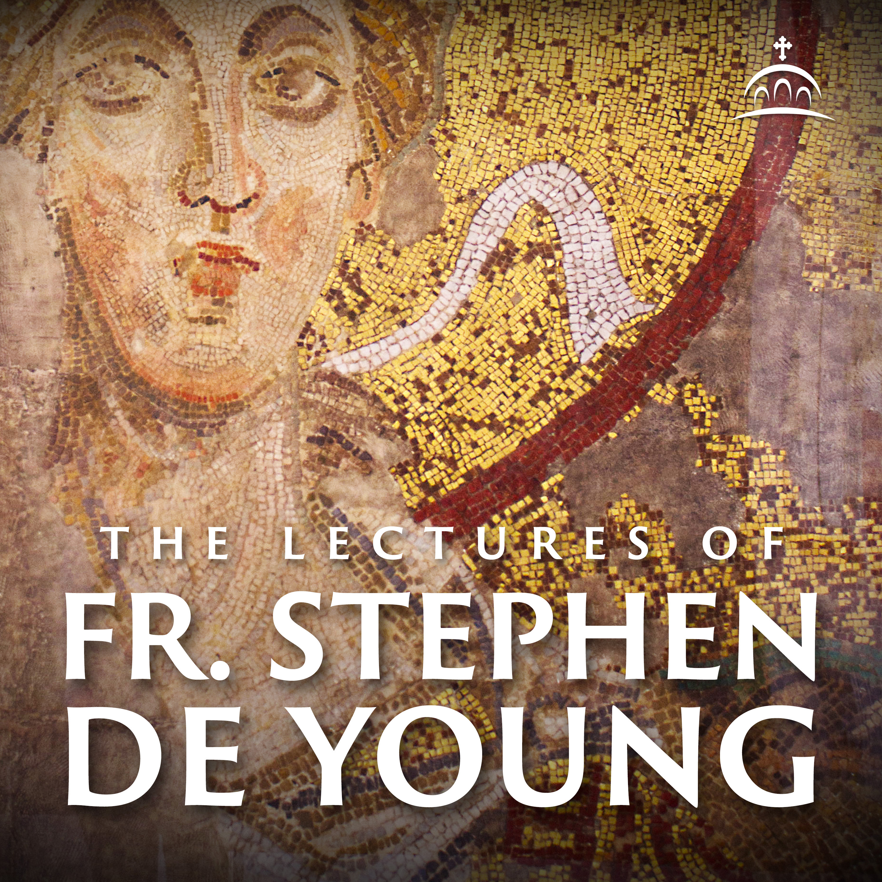 The Lectures of Fr. Stephen De Young