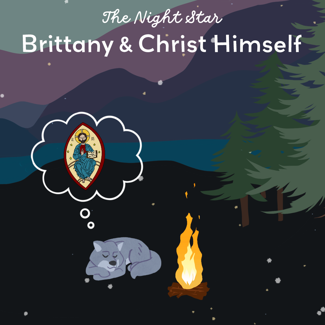 The Night Star