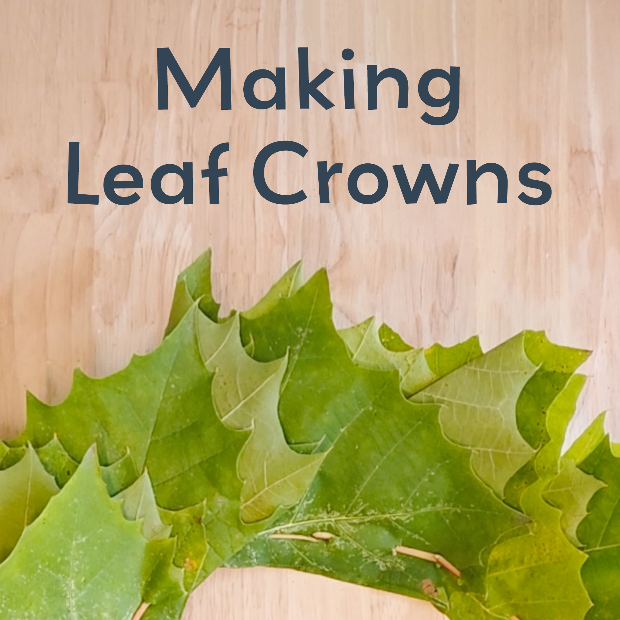 Crafting in God's Creation