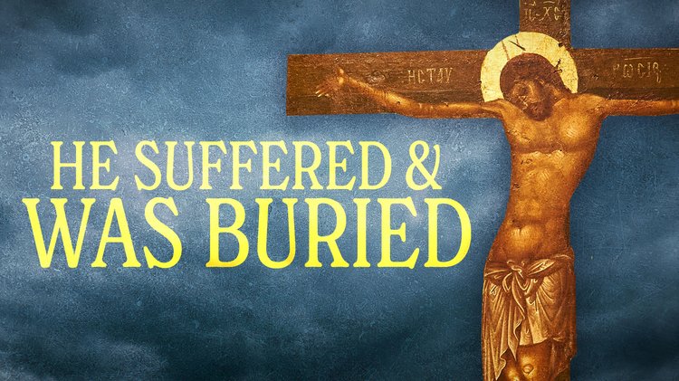 AFM_LiveShow_Cover_4.5.26_LOS