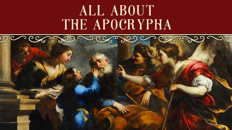 AFM_LiveShow_Ecamms_3.6-2026_STS copy