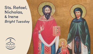 Holy Saints, pray for us!