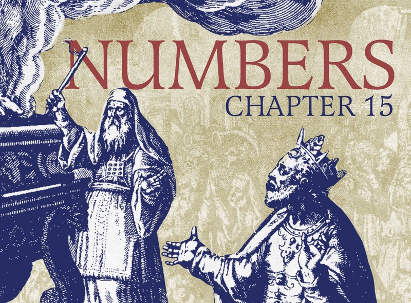 Study the Holy Scriptures with Fr. Stephen De Young