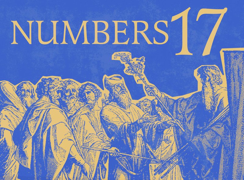 Study the Holy Scriptures with Fr. Stephen De Young